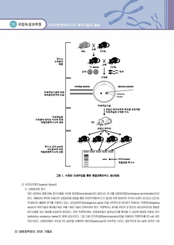 페이지 확대