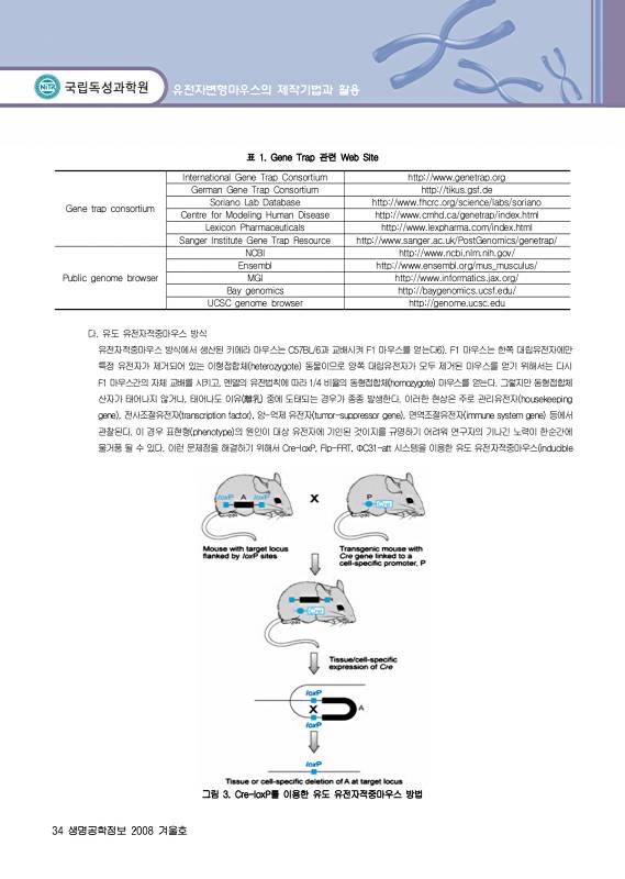 페이지 확대