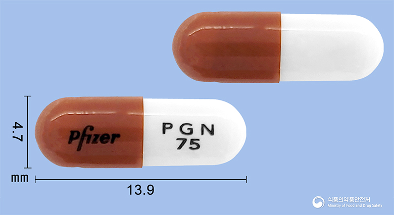 프레가발린 [리리카캡슐75mg®] - 더파머시